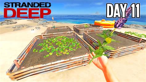 potato stranded deep